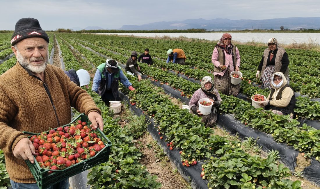  Mersin'in Silifke ilçesinde