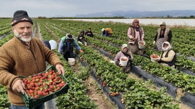 Mersin'in Silifke ilçesinde coğrafi