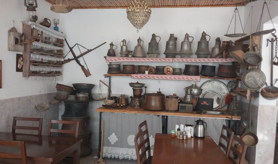 Mersin'in Mut ilçesinde 44