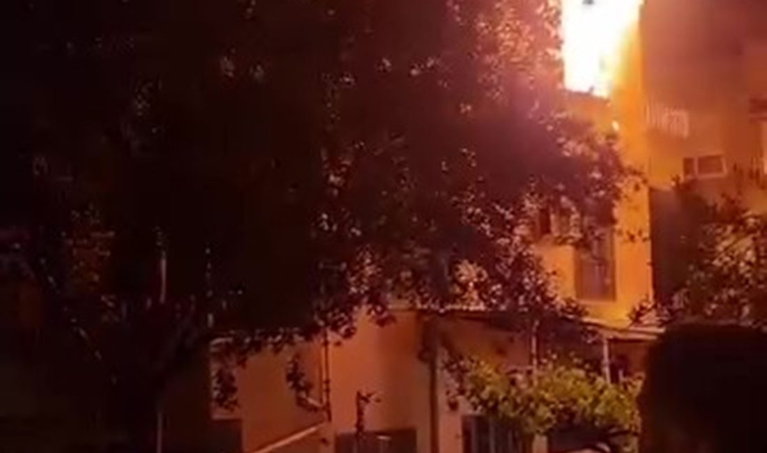 Mersin'in Mut ilçesinde 2