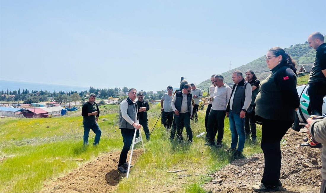 Mersin’in Silifke ilçesinde, ağaçlandırma