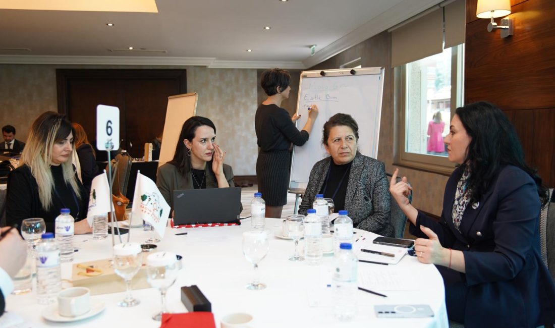 Avrupa Birliği’nin finansal desteği,