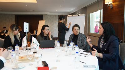 Avrupa Birliği’nin finansal desteği, Birleşmiş