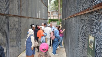 Mersin Büyükşehir Belediyesi, Sosyal Hizmetler