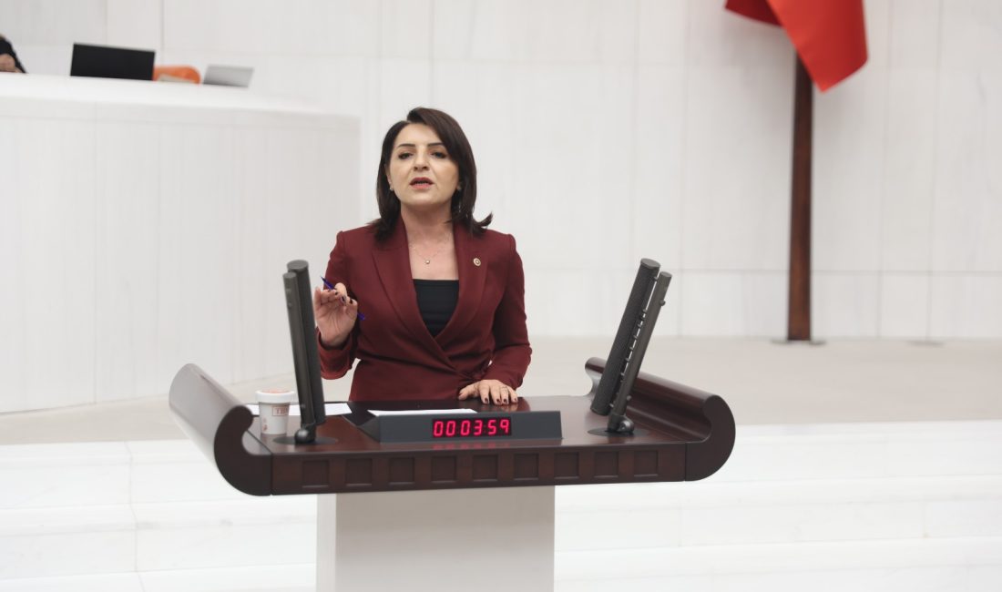 CHP’li Gülcan Kış: “Emekli