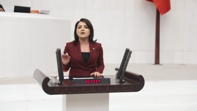 CHP’li Gülcan Kış: “Emekli pazara