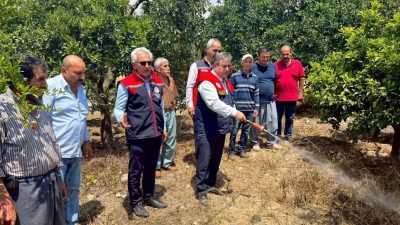 Mersin’de tarımsal üretimi tehdit eden