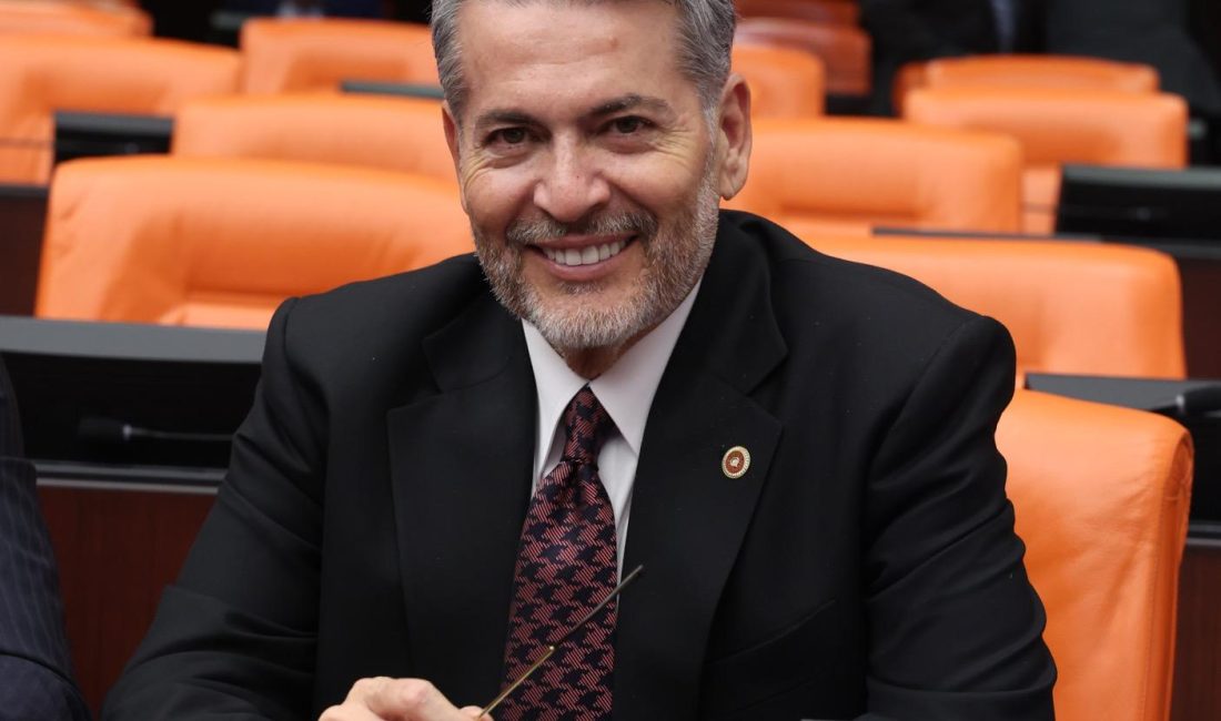 Milliyetçi Hareket Partisi Mersin