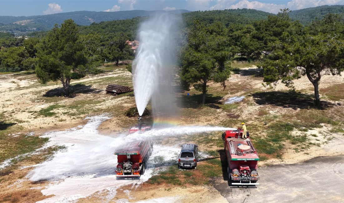 Mersin'in Mezitli ilçesindeki Kuyuluk Orman