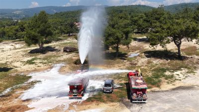 Mersin'in Mezitli ilçesindeki Kuyuluk Orman