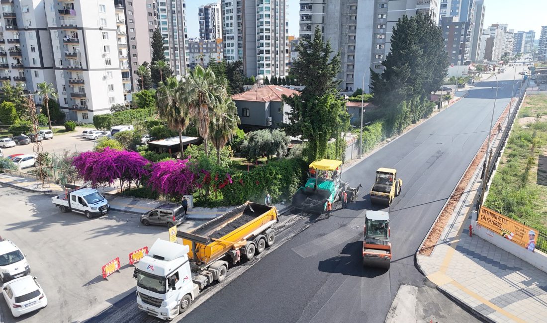 Mersin Büyükşehir Belediyesi, Mezitli