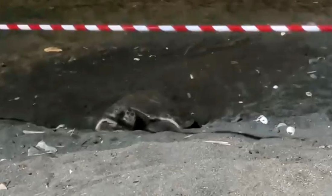 Mersin'in Erdemli ilçesi merkezindeki