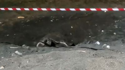 Mersin'in Erdemli ilçesi merkezindeki sahilde