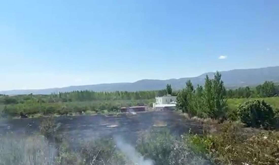 Mersin'in Mut ilçesinde çıkan