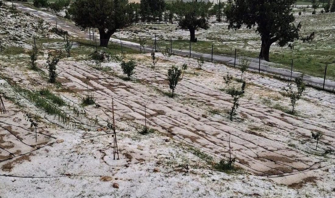 Mersin'in Erdemli ilçesinde yüksek