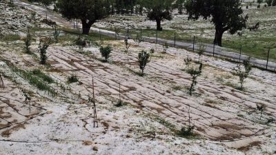 Mersin'in Erdemli ilçesinde yüksek rakımlı