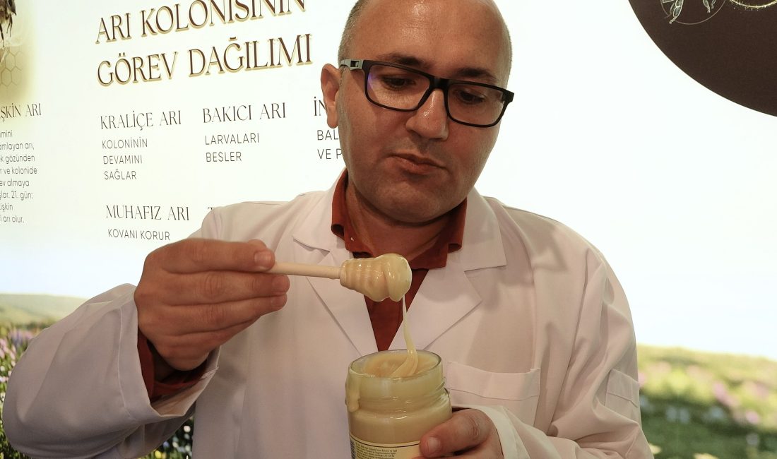 Mersin'de sıfır rakımda başlayan